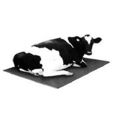 Cow Mat Manufacturers in India